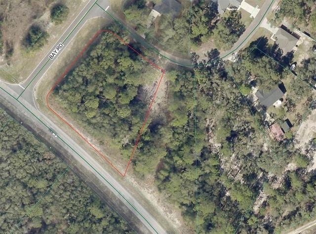 3 Bay Dr, Ocklawaha, FL 32179