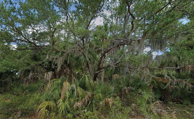 14202 Brisk Ave, Port Charlotte, FL 33953