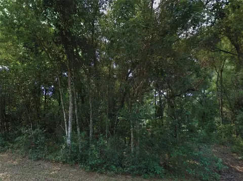 10534 E Waxwing Ln, Floral City, FL 34436