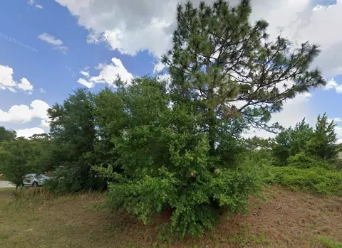 Juniper Pass, Ocala, FL 34480 photo 2
