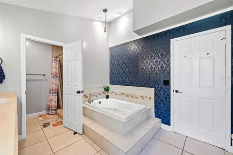 Bath - 1311 Olympia Park Cir, Ocoee, FL 34761 photo 3 of 4