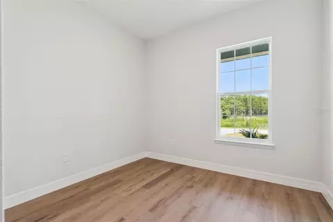 41650 Ligustrum St, Eustis, FL 32736 photo 30