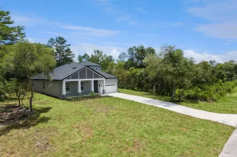 41650 Ligustrum St, Eustis, FL 32736 photo 5
