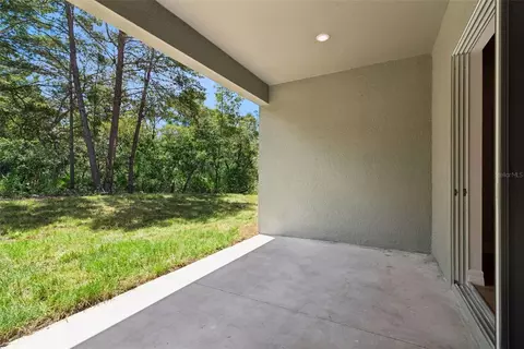 41650 Ligustrum St, Eustis, FL 32736 photo 37