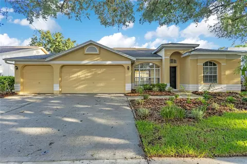 9303 Heritage Oak Ct, Tampa, FL 33647