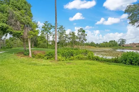 Other - 8342 Boyla Ct, Windermere, FL 34786 photo 21 of 21