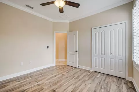 Bedroom - 2629 Tree Meadow Loop, Apopka, FL 32712 photo 2 of 2
