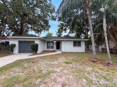 4209 E Alene Dr, Tampa, FL 33617