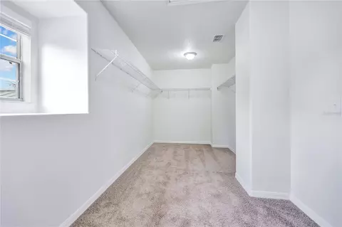 Other - 5331 Sandy Shell Dr, Apollo Beach, FL 33572 photo 6 of 12