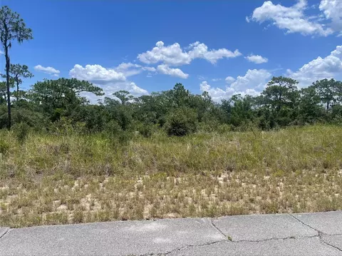 1340 Homosassa Ct, Kissimmee, FL 34759