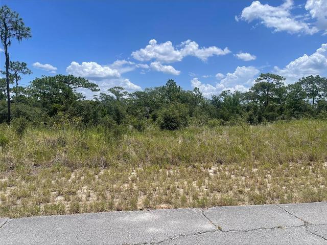 1340 Homosassa Ct, Kissimmee, FL 34759