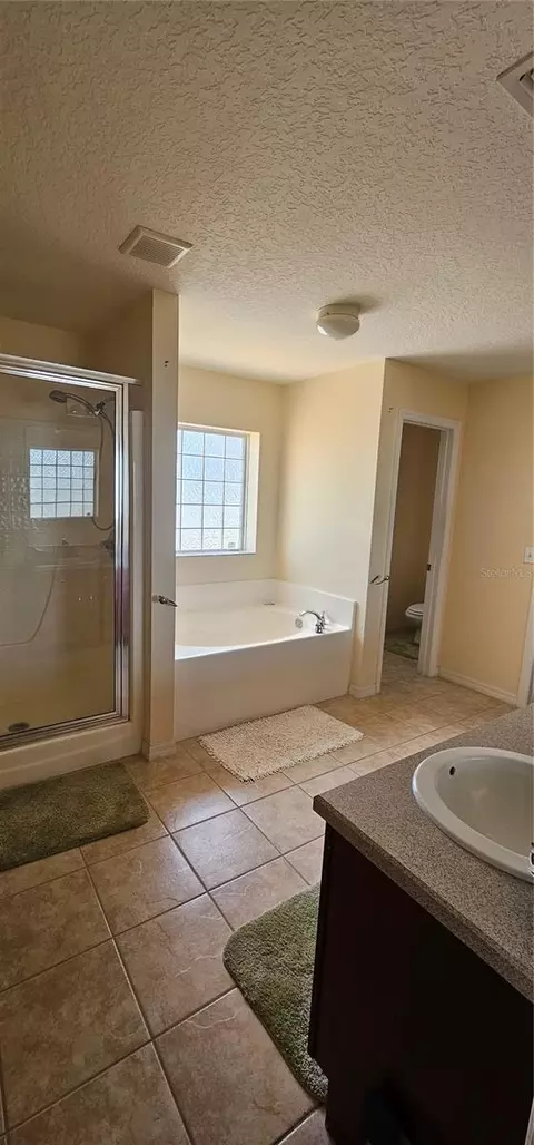 23705 Milford Dr, Eustis, FL 32736 photo 9