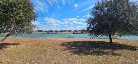 23705 Milford Dr, Eustis, FL 32736 photo 19