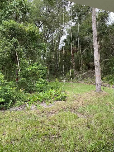Exterior - 12 Locust Run Dr, Ocala, FL 34472 photo 8 of 8