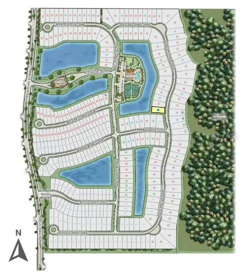 View/Area - 998 Tassleflower Trl, Saint Cloud, FL 34771 photo 2 of 7