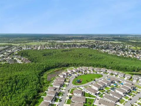 View/Area - 4148 Southern Vista Loop, Saint Cloud, FL 34772 photo 4 of 7