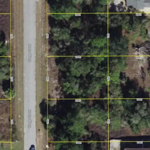 1344 Congo Ct, Poinciana, FL 34759