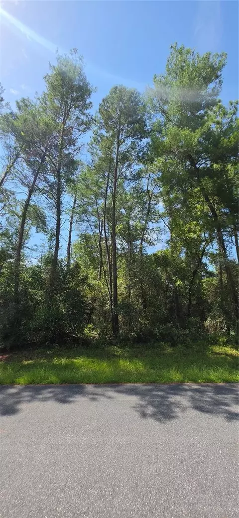 0 SW 151 Pl, Ocala, FL 34473 photo 5