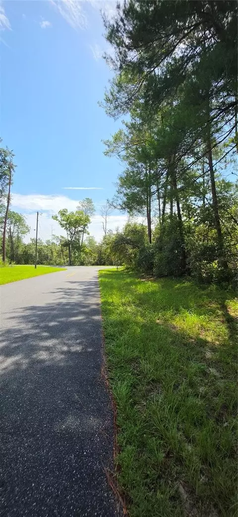 0 SW 151 Pl, Ocala, FL 34473 photo 11