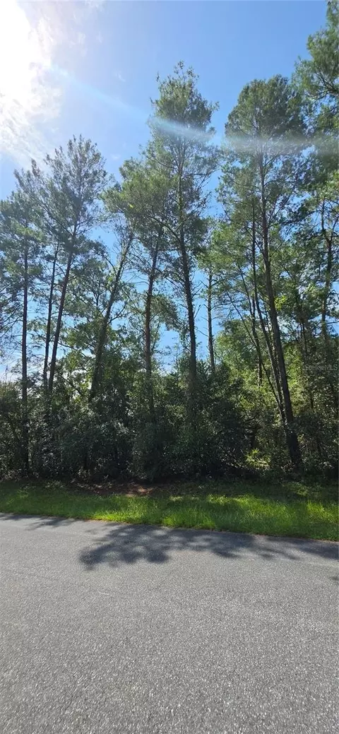 0 SW 151 Pl, Ocala, FL 34473 photo 7