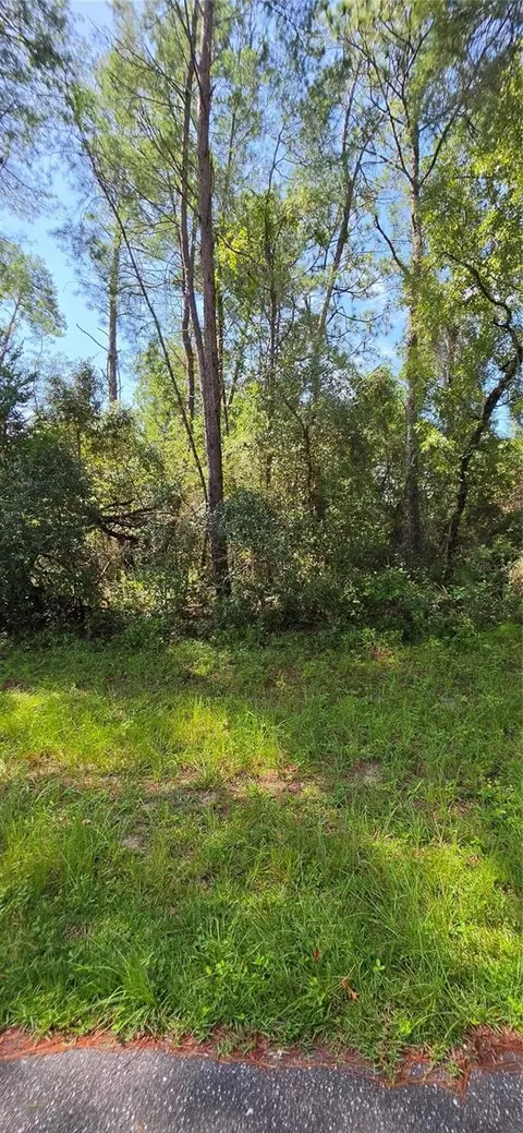 0 SW 151 Pl, Ocala, FL 34473 photo 10