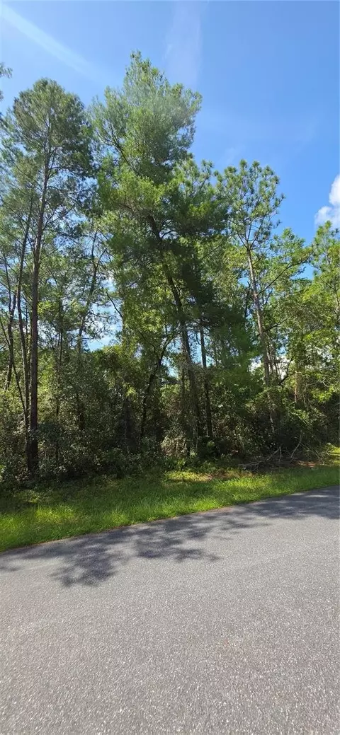 0 SW 151 Pl, Ocala, FL 34473 photo 6