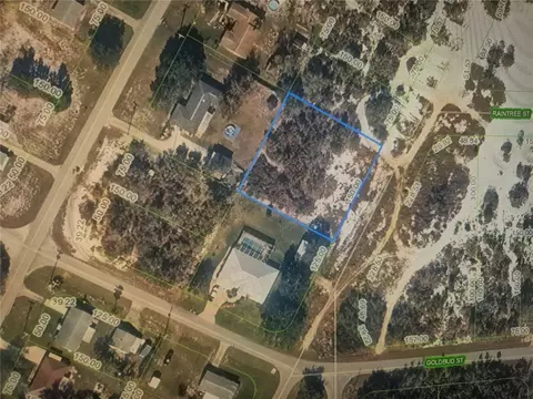 308 Bottlebrush Ave, Lake Placid, FL 33852