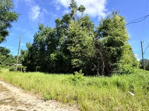 Ne 249th Court, Salt Springs, FL 32134