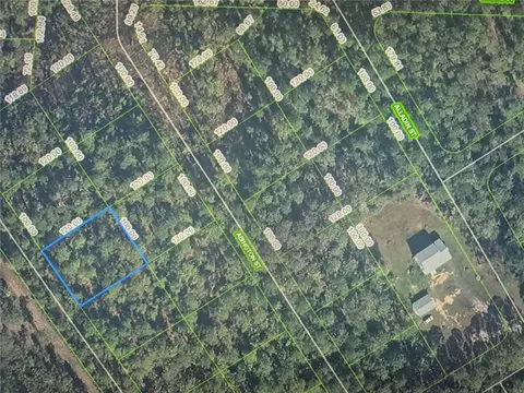 3168 Avocado Ave, Sebring, FL 33875 photo 3