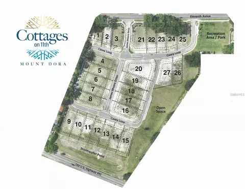 650 W 11th Ave, Mount Dora, FL 32757 photo 3