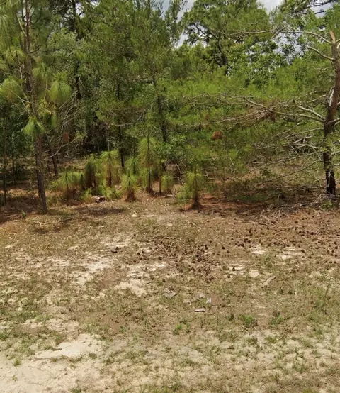 14214 SW 60th Ter, Ocala, FL 34473