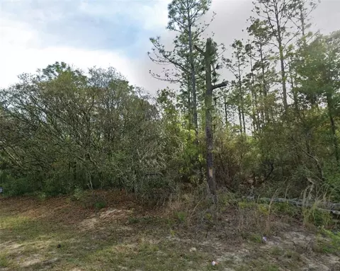 7745 N Maltese Dr, Citrus Springs, FL 34433