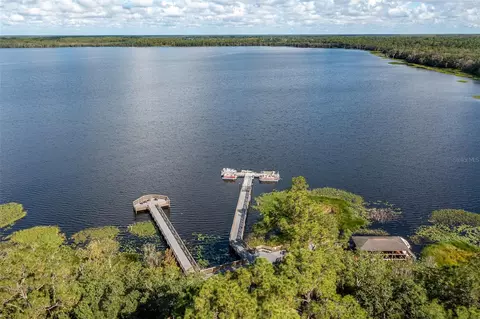 View/Area - 3331 Sagebrush St, Harmony, FL 34773 photo 16 of 17
