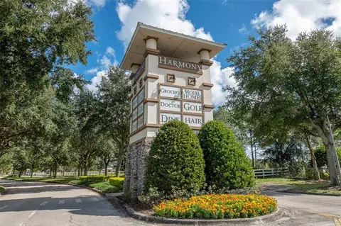 View/Area - 3331 Sagebrush St, Harmony, FL 34773 photo 11 of 17