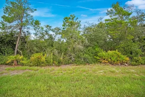 Georgia Street, Paisley, FL 32767