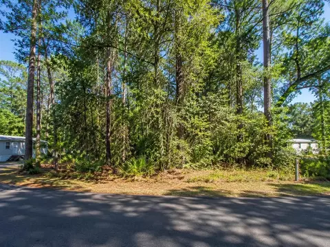 Georgia Street, Paisley, FL 32767