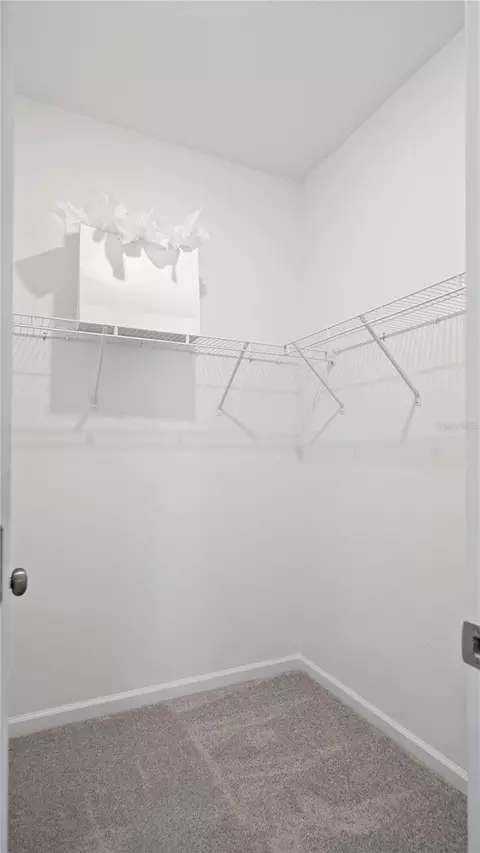 Other - 5103 Arrowfeather Ct, Saint Cloud, FL 34772 photo 3 of 8