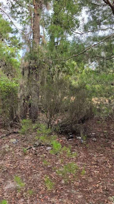 102 B St, Interlachen, FL 32148 photo 3