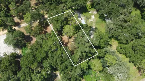 SE 124th Avenue, Webster, FL 33597 photo 6