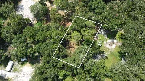 SE 124th Avenue, Webster, FL 33597 photo 8