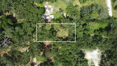SE 124th Avenue, Webster, FL 33597 photo 5