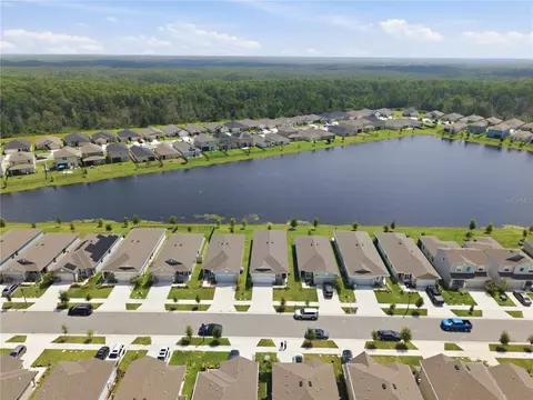 View/Area - 3963 Sagefield Dr, Harmony, FL 34773 photo 4 of 9