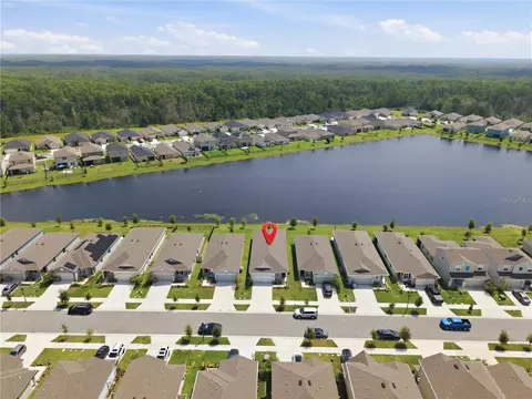 View/Area - 3963 Sagefield Dr, Harmony, FL 34773 photo 5 of 9