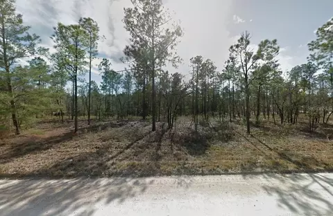14710 SE 6th Ln, Williston, FL 32696 photo 3