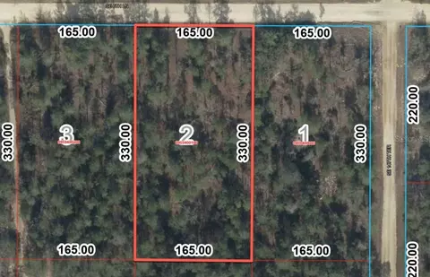 14710 SE 6th Ln, Williston, FL 32696 photo 8