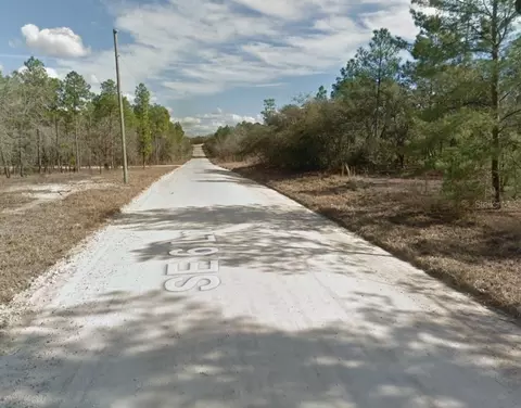 14710 SE 6th Ln, Williston, FL 32696 photo 2