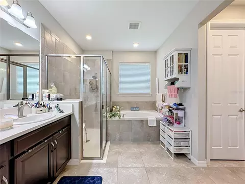 Bath - 13222 Moss Grass Way, Riverview, FL 33579 photo 5 of 6
