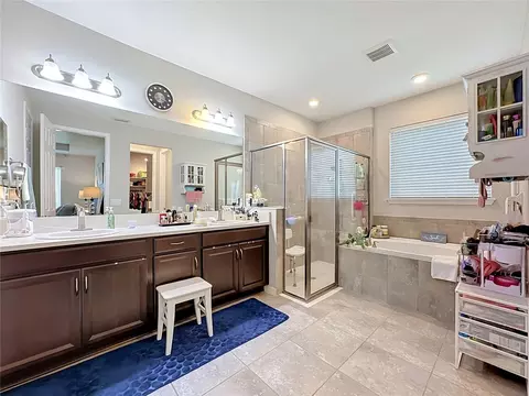 Bath - 13222 Moss Grass Way, Riverview, FL 33579 photo 4 of 6