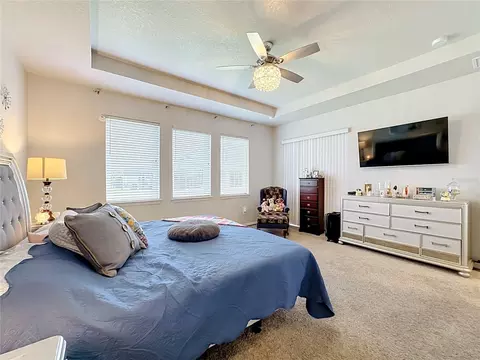 Bedroom - 13222 Moss Grass Way, Riverview, FL 33579 photo 6 of 7