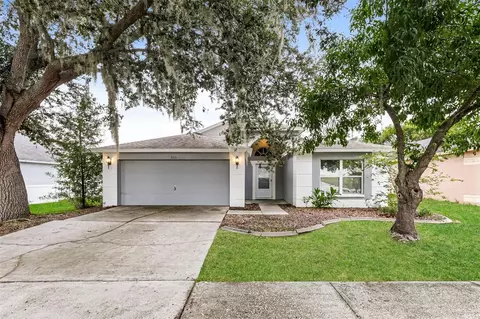 823 Rocky Mountain Ct, Valrico, FL 33594